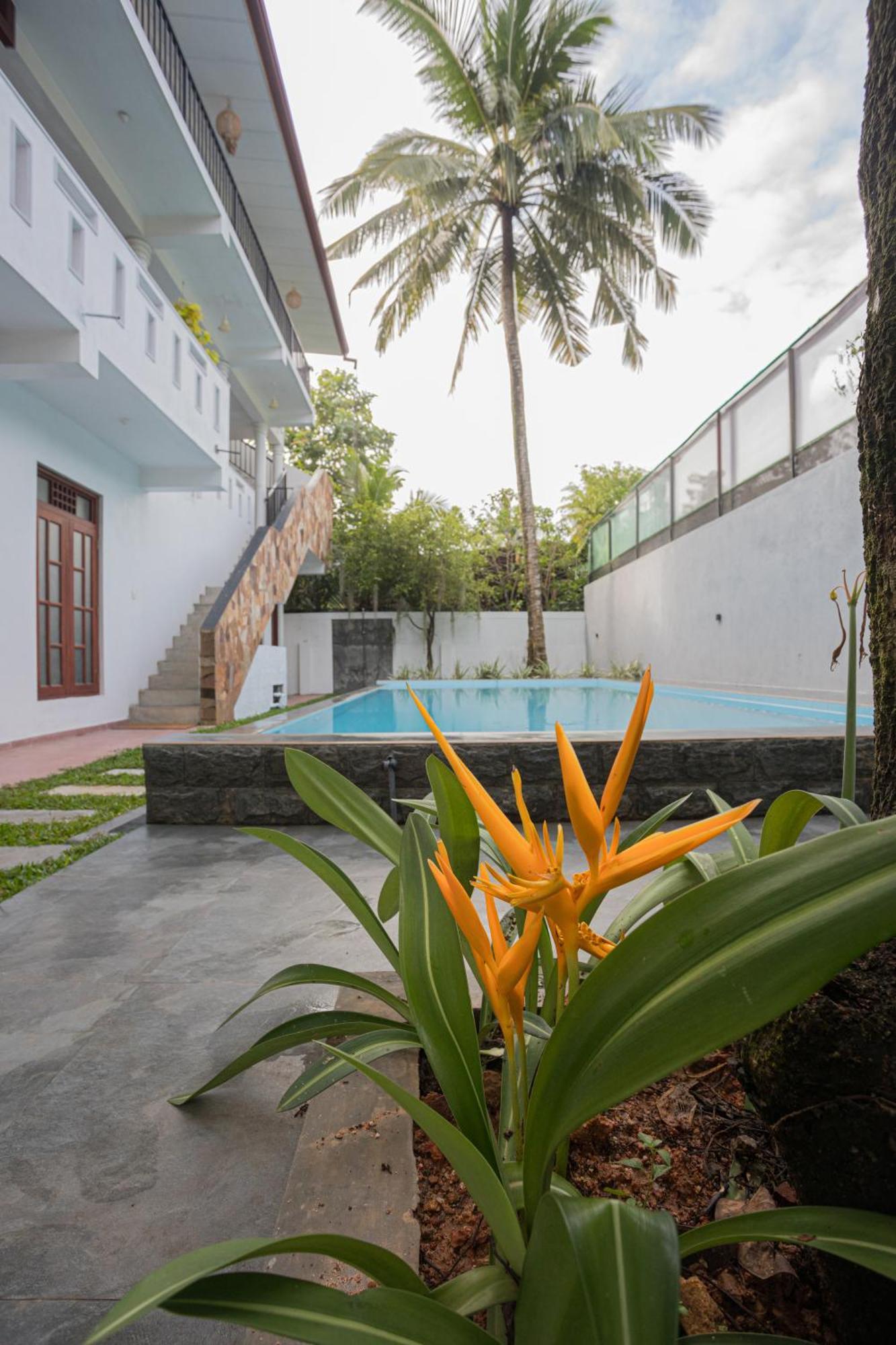 Villa Windfall أونا واتونا المظهر الخارجي الصورة